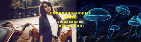 ПСИЛОЦИБИНОВЫЕ ГРИБЫ Сатка
