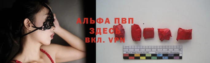 ПСИЛОЦИБИНОВЫЕ ГРИБЫ Сатка
