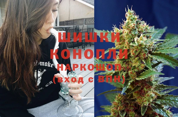 ПСИЛОЦИБИНОВЫЕ ГРИБЫ Сатка