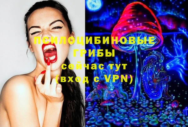 ПСИЛОЦИБИНОВЫЕ ГРИБЫ Сатка