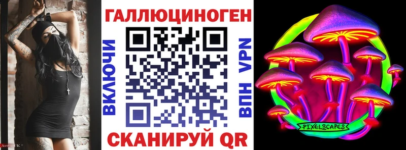 Купить  Советский  Псилоцибиновые грибы GOLDEN TEACHER 